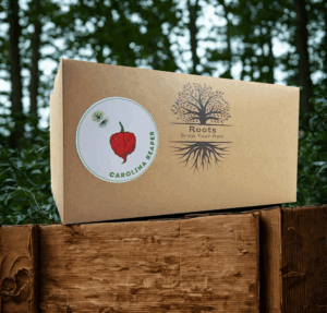 Carolina Reaper – Grow Kit
